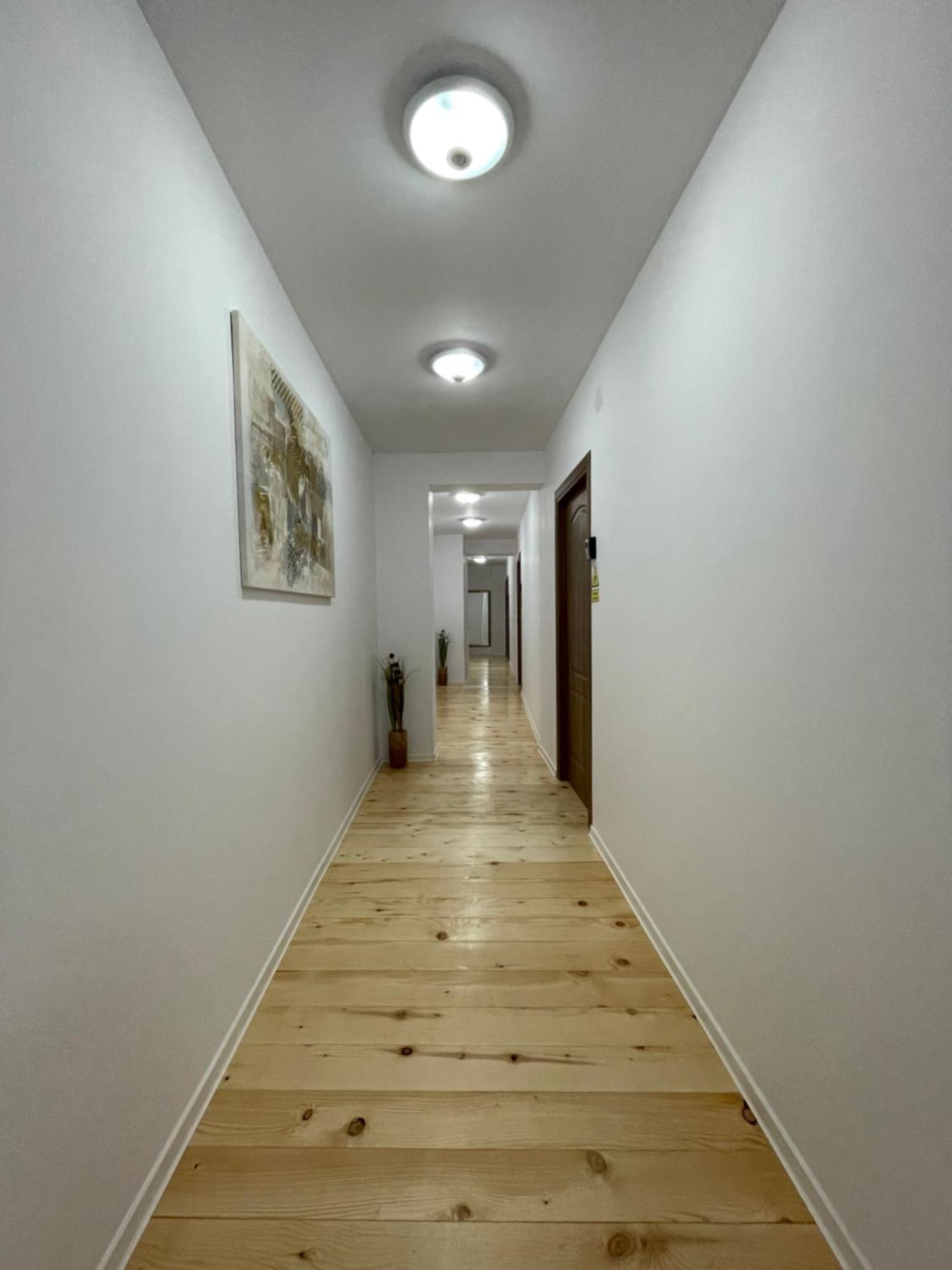 Schei Central Studios In The Heart Of Μπρασόβ Εξωτερικό φωτογραφία